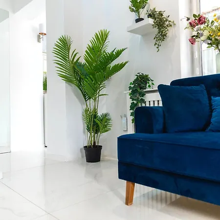 Center - Mirror Belgrad